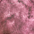 /msite/products/detail/productid/57302769/id/665751.html